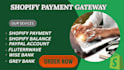 set up shopify payments shopify balance wise integration and fix payment issues