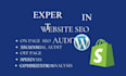 audit your website UX and provide conversion rate optimization cro strategy