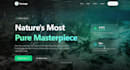 design a highconverting landing page for your business