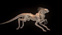 create 3d character and creature model for games and animation