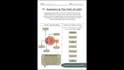 design canva templates, workbooks, and presentations
