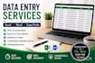 do data entry, copy paste and excel data entry