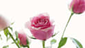 design modern and professional  graphic dasign