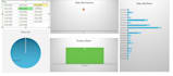 create professional excel dashboard, pivot tables
