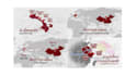 motion graphic design for you