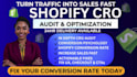 do full shopify cro audit as a conversion rate optimization expert