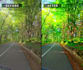 do video color grading and video editing