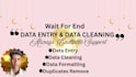 clean, entry, format, merger, split excel data