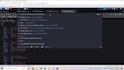 do web application penetration testing