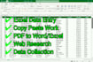 do accurate data entry, excel data cleaning and copy paste work