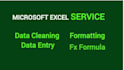do any microsoft excel task, formulas, data cleaning, reports and dashboards