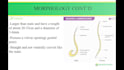 create professional powerpoint design