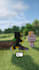 edit minecraft shorts for your server