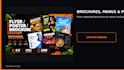 design a professional business flyer, brochure, or poster