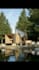 create a professional exterior rendering