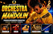 record mandolin, french horn or flute instrumentals