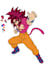 draw a custom dragon ball illustration