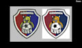 do embroidery digitizing into dst pes emb jef file in 2 hour