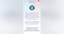 deliver a clean, responsive prebuilt website deployed