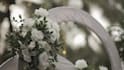 create a cinematic wedding video editing, highlights, teaser and trailer