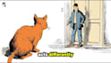 create animated cat explainer videos like felune