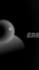edicion de video con subtitulos dinamicos y motion graphics