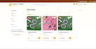 develop a full stack website