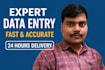 do professional data entry