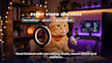 create funny talking ai cat video for tiktok and reels