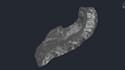 convert your drone or survey data into 3d terrain model