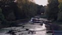 create cinematic wedding highlight films