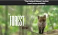build 3d interactive website wix animations modern web design ui ux landing page