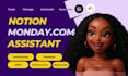 be your creative VA for notion monday com systems automation workflow support