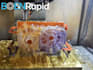 rapid prototype for your great design