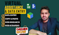 do excel data entry, convert pdf to excel, copy paste, typing and web res