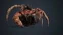 do 3d animal animation, creature animation, 3d character animation