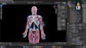 create professional 3d medical animation and moa videos