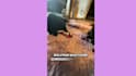 create authentic pet product ugc videos featuring my cats