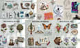 design custom stickers, vector stickers and badge logo