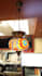 edit your restaurant, real estate, gymnastics, or wedding, promo