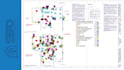 do construction cost estimation and material takeoff for gc bidding projects