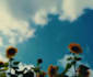 do editing and photo manipulation with full data protection