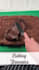 assemble engaging social media videos for you