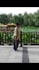 film tai chi, qigong, yoga videos for your wellness project