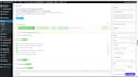 do professional SEO audit for wordpress website