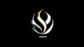 create a custom 3d glossy logo animation for your brand