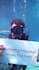 create your unforgettable underwater birthday message