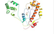 do molecular docking amdet and molecular dynamics simulation