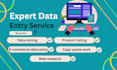 provide professional data entry and web research services