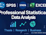 do statistical professional analysis in spss, stata and excel
